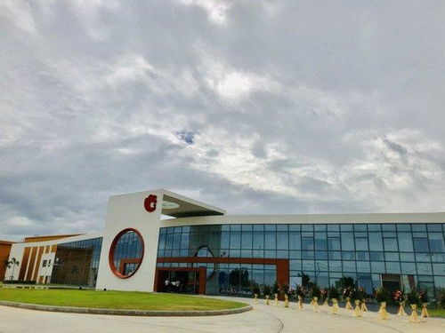 洽洽開啟堅果品牌全球化新征程，今娛生活引領健康休閑新風尚